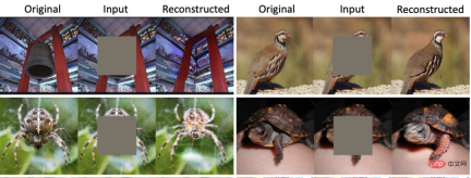 Google and MIT propose a unified framework MAGE: representation learning surpasses MAE, and unsupervised image generation surpasses Latent Diffusion Google and MIT propose a unified framework MAGE: representation learning surpasses MAE, and unsupervised image generation surpasses Latent Diffusion