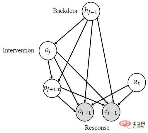 初めて導入しました！因果推論を使用して部分的に観察可能な強化学習を行う