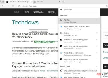 Microsoft Edge v100 在开发通道中启用选项卡搜索