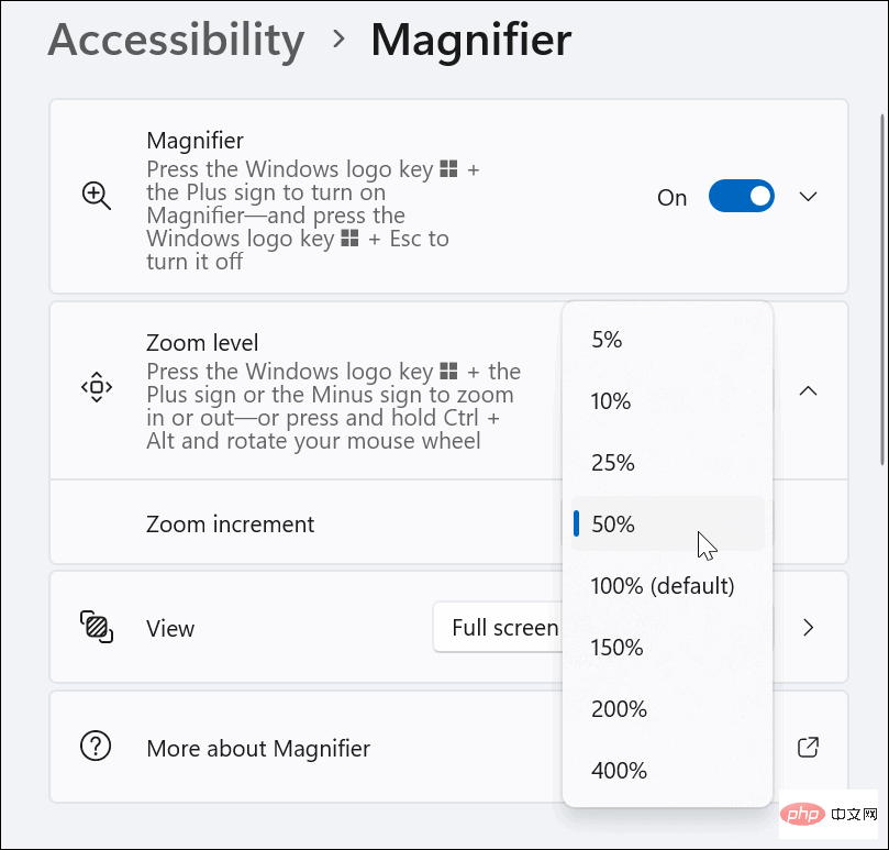 如何在 Windows 11 上使用放大鏡工具