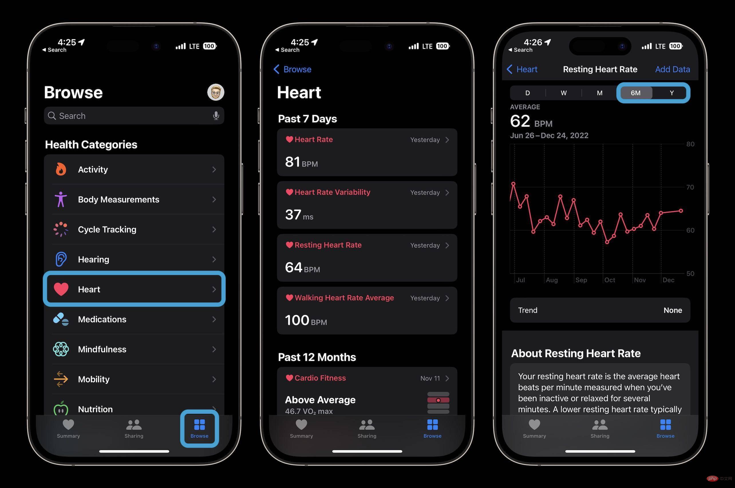 Apple Watch: How to view detailed heart rate history