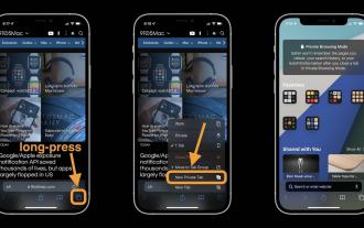 iOS 15: Safari를 사용하여 iPhone에서 개인 정보 보호 브라우징으로 전환하는 방법