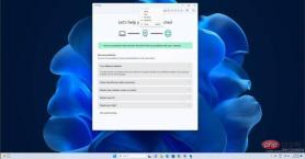Windows 11 正在获得一项新的 API 支持的功能来解决网络问题