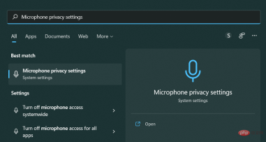如何在 2022 年在 Windows 11 上禁用语音转文本