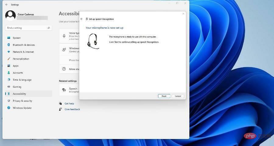 在 Windows 11 上使用文本转语音和语音识别