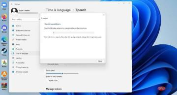 在 Windows 11 上使用文本转语音和语音识别