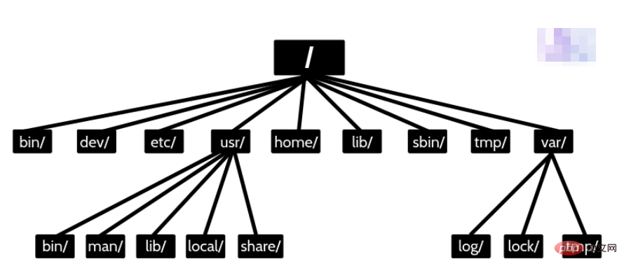 How to loop through a folder containing a large number of files using Python?