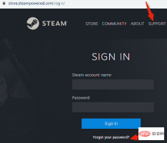 如何在没有用户名或密码的情况下恢复 Steam 帐户。