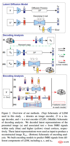 Stable Diffusion读你大脑信号就能重现图像,研究还被CVPR接收了