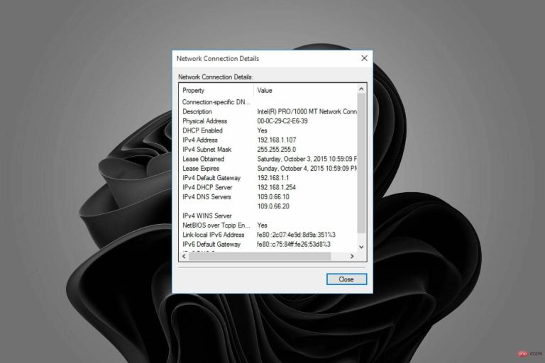 在 windows 11 pc 上设置和更改静态 ip 的 4 种方法