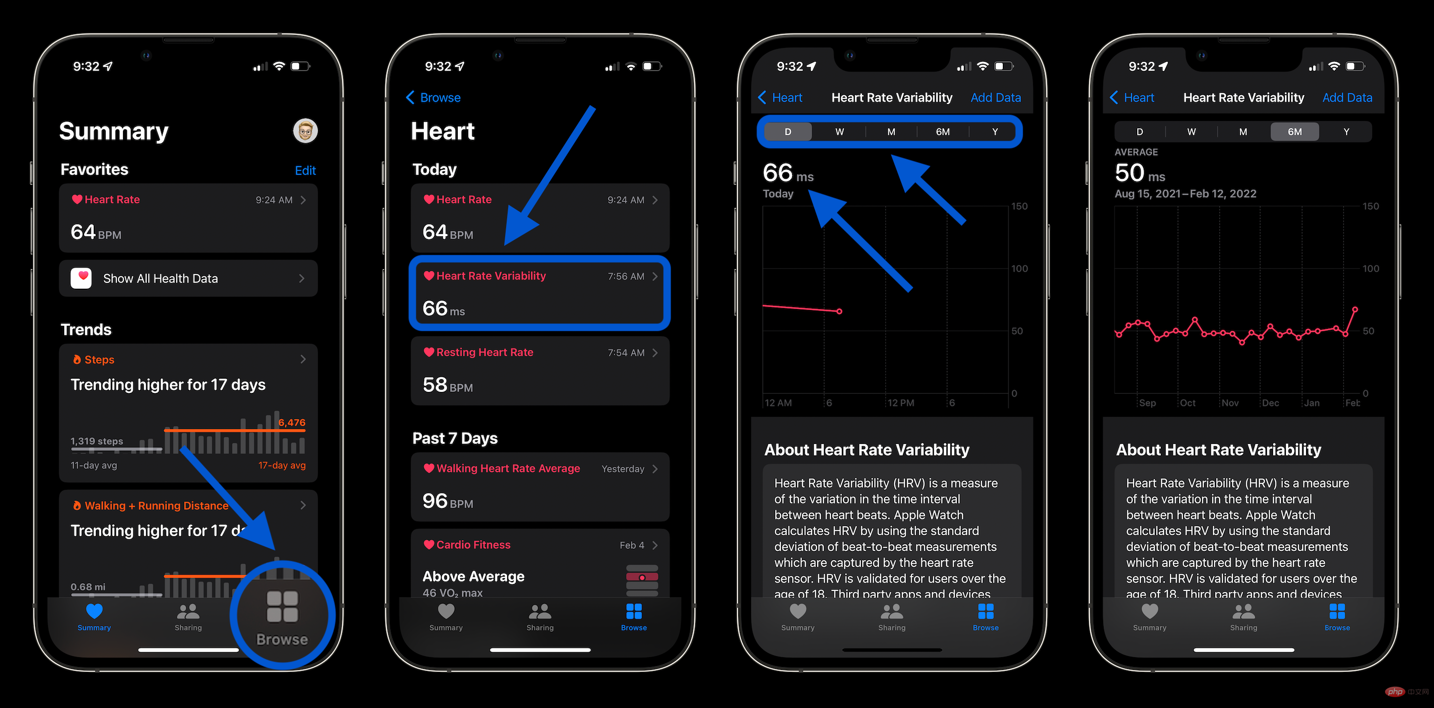 什么是 HRV，您如何在 Apple Watch 和 iPhone 上跟踪/使用它？