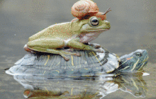 当「分割一切」遇上图像修补：无需精细标记，单击物体实现物体移除、内容填补、场景替换