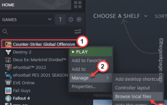 CS:GO ranap, pegun dan isu skrin hitam dalam Windows 10/11