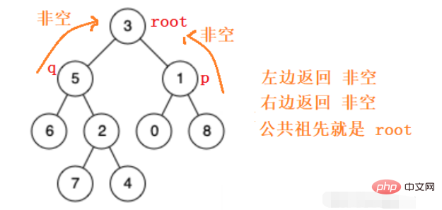 Java でバイナリ ツリーの最も近い共通の祖先を見つける方法