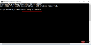 如何修复 0x8024a105 Windows 更新错误?