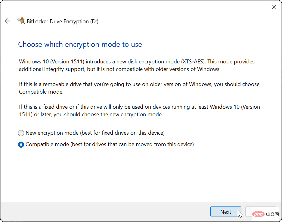 如何在 Windows 11 上使用 BitLocker