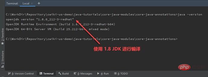 java.lang.ExceptionInInitializer를 묻는 Java 컴파일 오류 메시지를 해결하는 방법