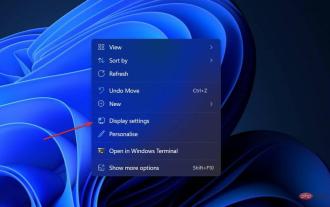 Can't change display resolution in Windows 11? what is this