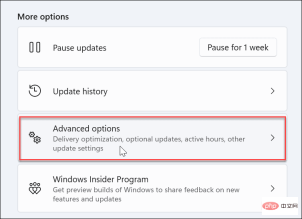 如何在 Windows 11 上禁用传递优化