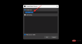 如何在 Windows 11 上使用音频进行屏幕录制