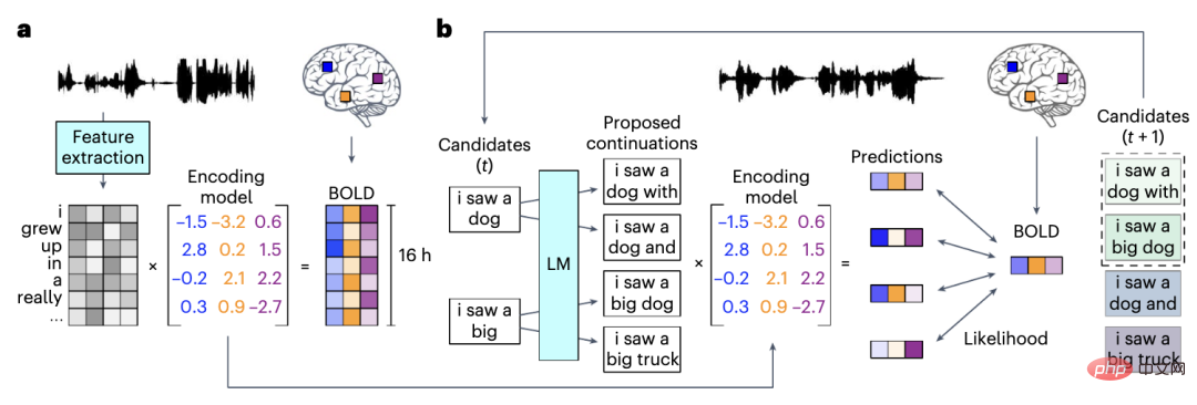 AI psychic model successfully decodes brain information with an accuracy of 82%