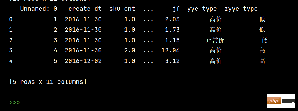 How to use Numpy and Pandas Python libraries?