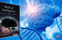 从老鼠在迷宫中行走到AlphaGo战胜人类，强化学习的发展历程