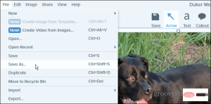如何在 Windows 11 上将 PNG 转换为 JPG