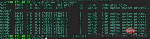 So passen Sie den Nginx-Server an die OpenSSL-Sicherheitslücke an