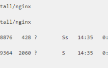 nginx信号集实例分析