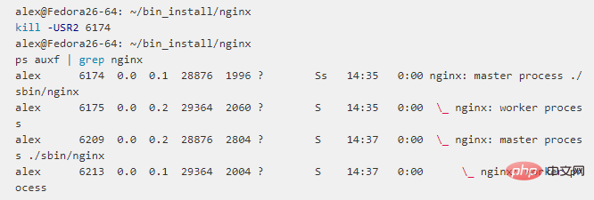 Exemple danalyse densemble de signaux nginx