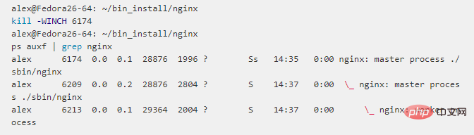 nginx 신호 세트 예시 분석