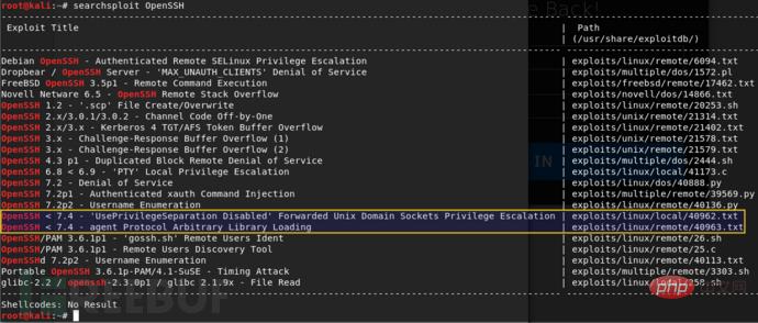 Was ist die JIS-CTF_VulnUpload-Zieldrohnenstrategie?