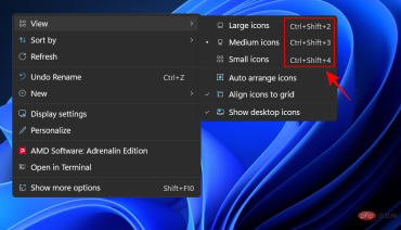 如何在 Windows 11 上缩小图标