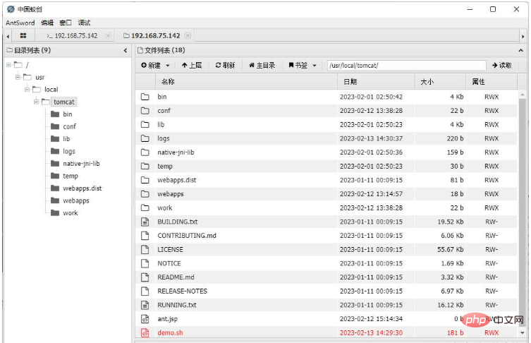 How to implement webshell upload under nginx load balancing