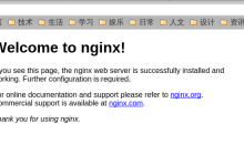 Ubuntu上如何安装Nginx服务器