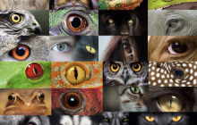 一文读懂计算机视觉，干货满满