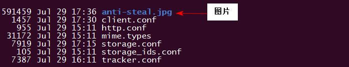 So installieren und konfigurieren Sie FastDFS für die Integration von Nginx-1.13.3