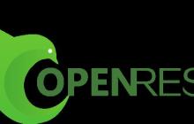 openresty怎么替换nginx