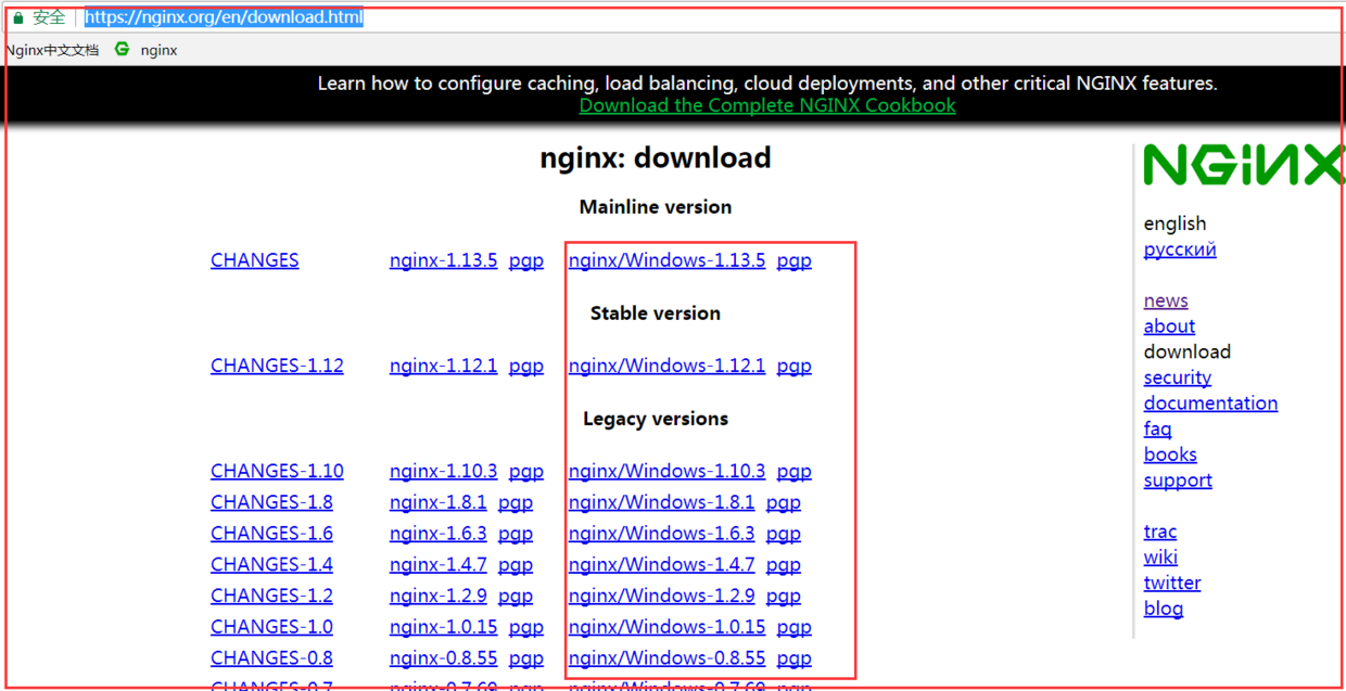 Analisis contoh pemasangan dan konfigurasi Nginx