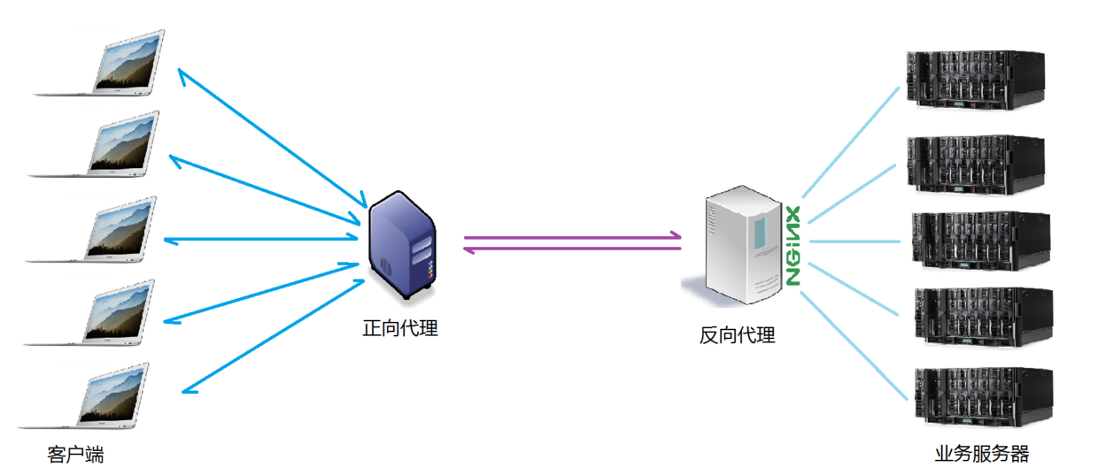 Analisis contoh pemasangan dan konfigurasi Nginx