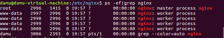 Analisis contoh pemasangan dan konfigurasi Nginx