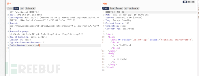 Example analysis of bash vulnerability recurrence