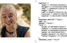 脑机接口、脑波和fMRI，AI正在掌握读心术