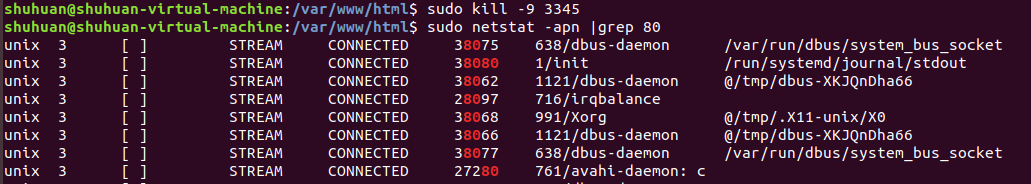 So lösen Sie das Problem, dass der Port beim Öffnen von Nginx belegt ist