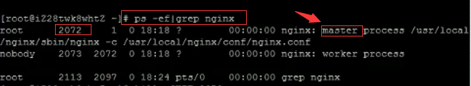 So lösen Sie das Problem, dass der Port beim Öffnen von Nginx belegt ist