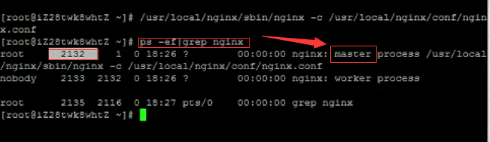 So lösen Sie das Problem, dass der Port beim Öffnen von Nginx belegt ist