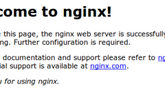So installieren Sie Nginx mit YUM unter dem CentOS7-System