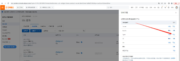 How to configure nginx https 443 port