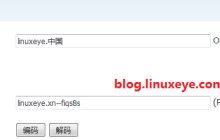 Nginx中文域名配置实例分析